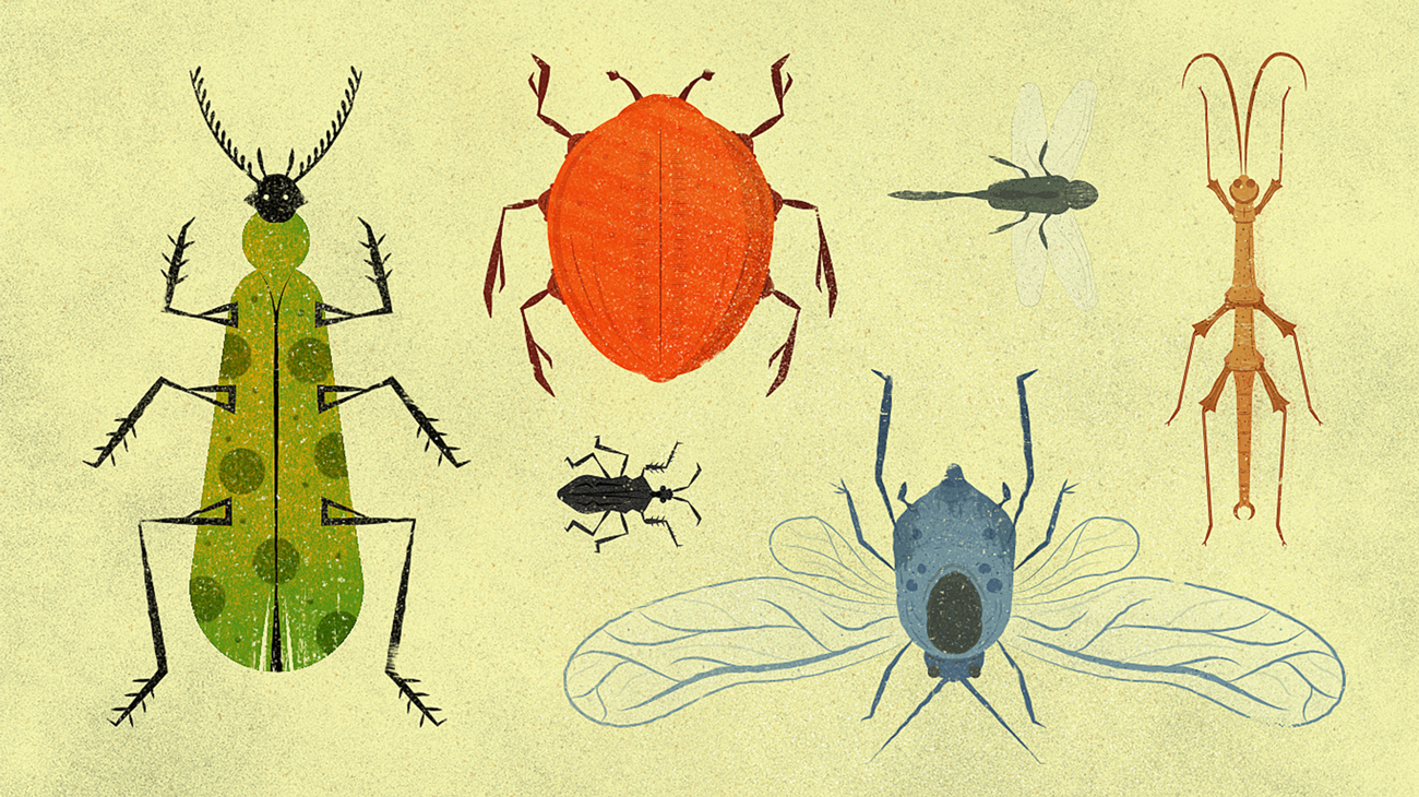 Editorial illustration of bugs