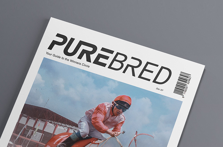 angled magazine cover on grey background